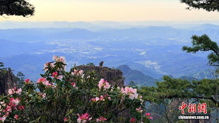 黄山风景区“五一”假期接待游客