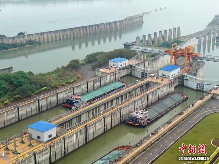 “五一”假期长洲船闸过闸船舶数和货运量同比增长均超五成
