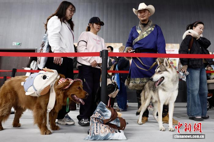 第六届上海宠物时装周“毛孩子”萌宠模特海选举行