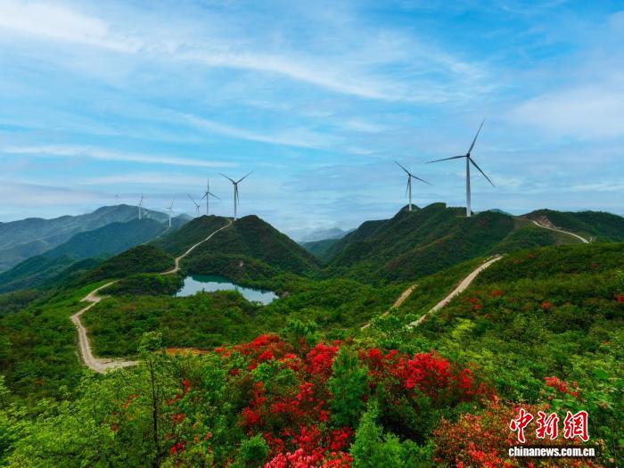 “灰山”变“花山”  湖南桃江“小花经济”赋能乡村振兴
