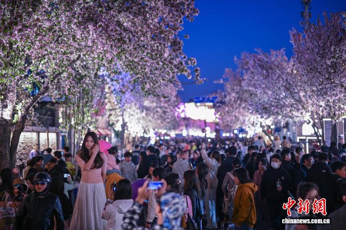 赏花游园、看戏尝鲜 京津冀清明假期“追花式消费”升温