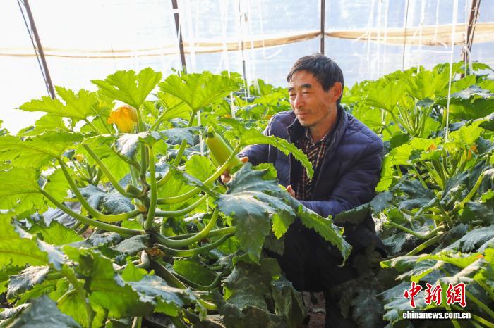 （乡村行·看振兴）山西高平：大