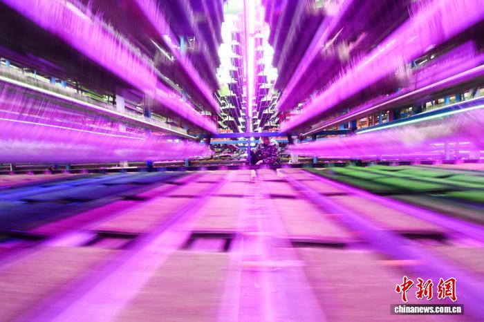 （走进中国乡村）秧苗住上“电梯