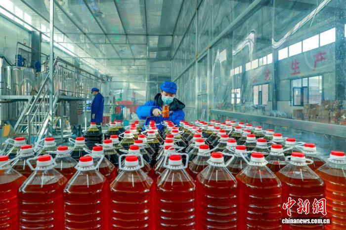（新春走基层）山西屯留：太行山下油飘香 乡村振兴年味浓