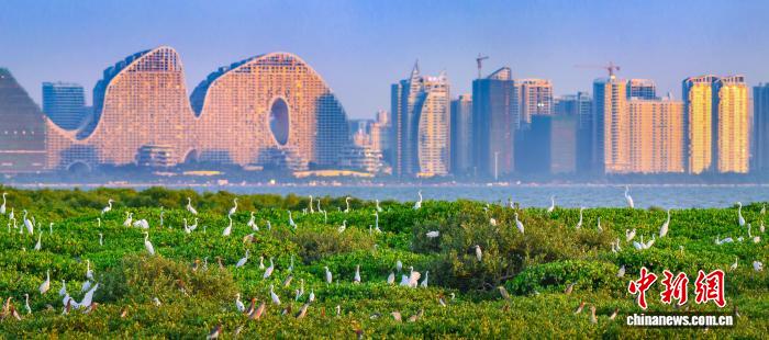 广西北海市海城区生态保护与发展并进见成效