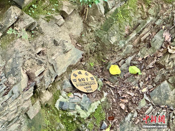 常山世界地质公园揭牌开园 坐拥