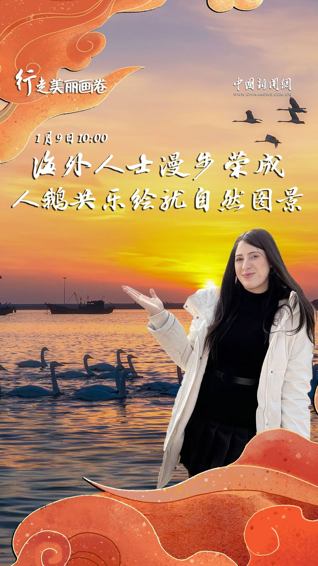 直播海报：行走美丽画卷｜海外人士漫步荣成 人鹅共乐绘就自然图