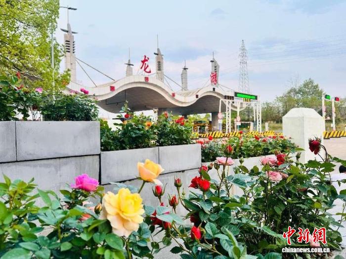 浙西交通观察：一条高速如何给县城带来“新风景”？
