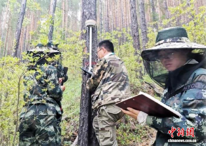 走，到林区一线去！东林“支林计划”近五百学子以青春守绿水青山