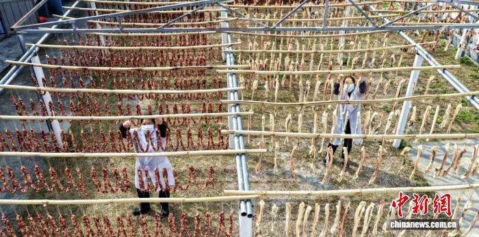 （乡村行·看振兴）广东从化吕田腊味飘香 铺就“致富路”