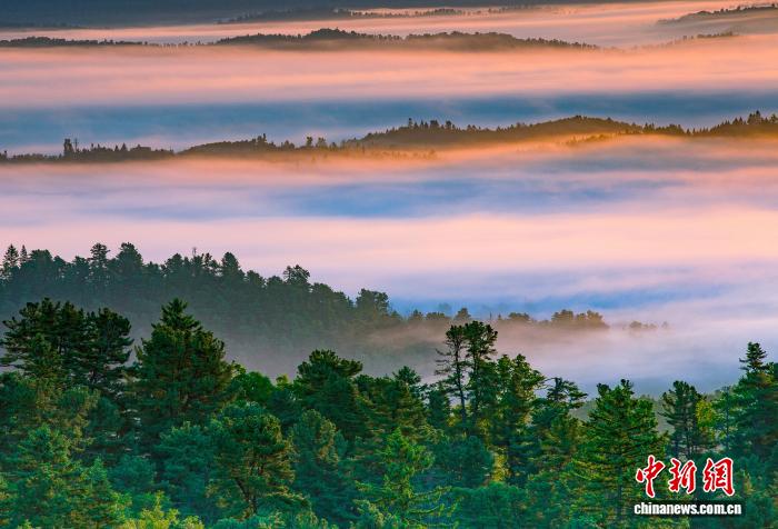 地企融合 探出“中国林都”伊春转型新路