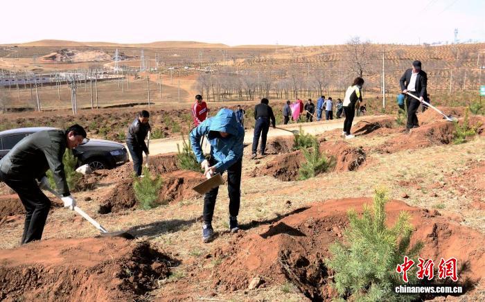 内蒙古“三北”工程一线见闻：为了这片来之不易的绿