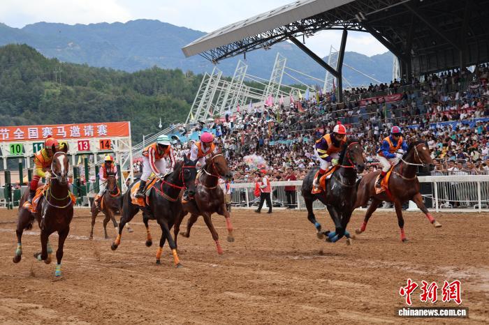 （全国两会）“村字号”活动如何避免“千村一面”？代表委员出招