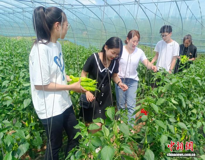 （乡村行·看振兴）内蒙古乡村观察：中坚农民带动乡村向新发展