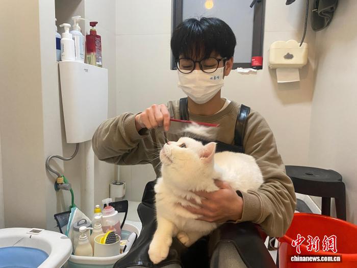 宠物“年节经济”升温 中国“铲屎官”为爱宠备年夜饭购新装