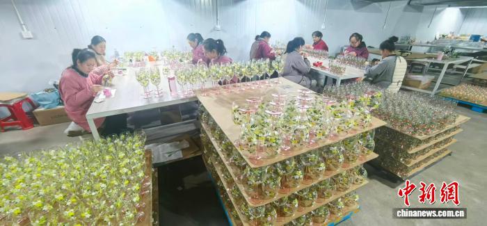 （走进中国乡村）“金饭碗”盛满全球订单 山西祁县下申村玻璃“