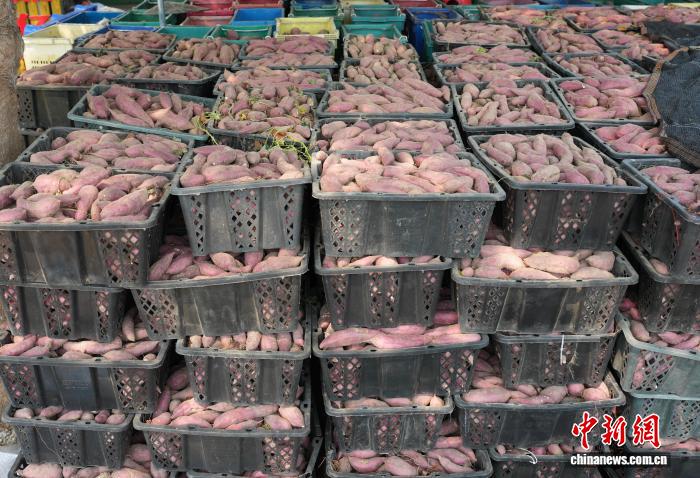 海南“镇”能量：一个地瓜，创意