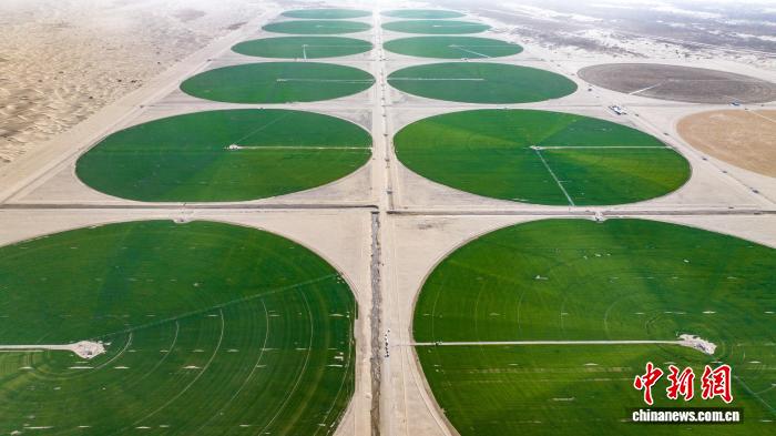 新疆昆玉沙漠现“绿色同心圆”：从荒芜沙海到生态画卷的“一年之