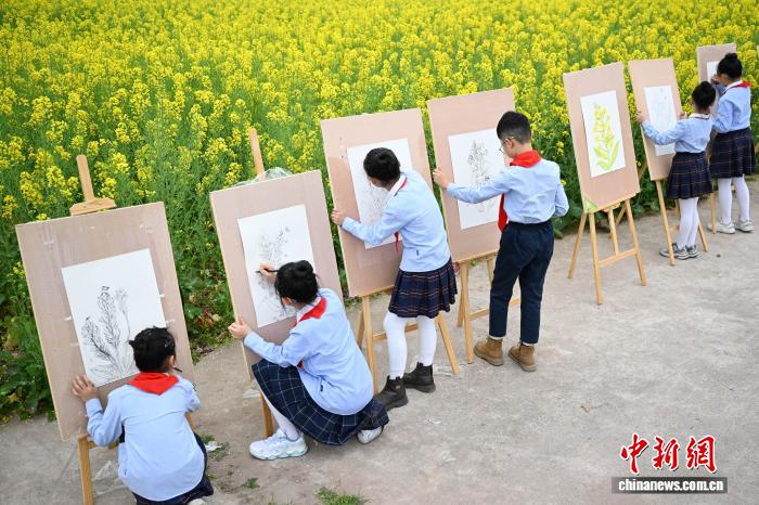 （全国两会）如何守护青少年心理健康？代表委员热议