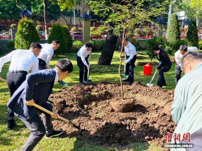 纪念孙中山先生诞辰160周年植树活动在广州举行