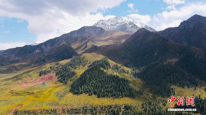 “十四五”时期 青海新增森林面积超过27万公顷