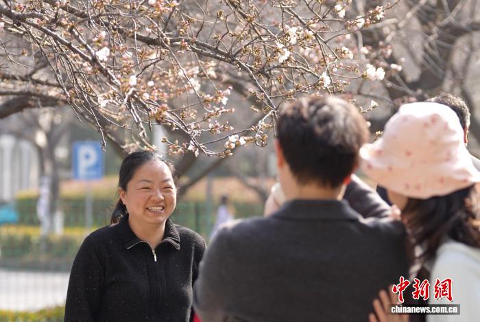 湖北以数百场活动邀全球游客赏樱
