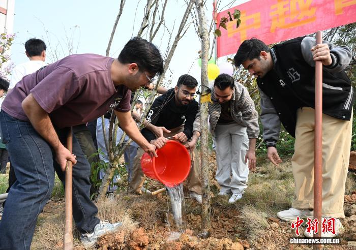 200余名中外青年在百色共植友