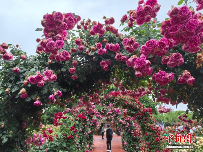 马路牙子“颜值担当”，“科圣”张衡老家一年卖出30亿元