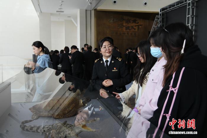 西安海关织密国门生物安全网 千余件截获标本入藏秦岭博物馆