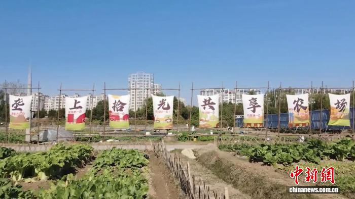 （乡村行·看振兴）扬州广陵汤汪