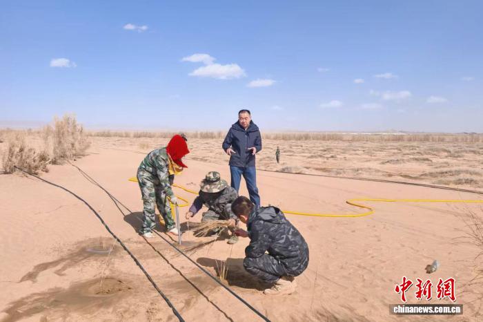 扎根荒漠二十余载的黄步青：“只