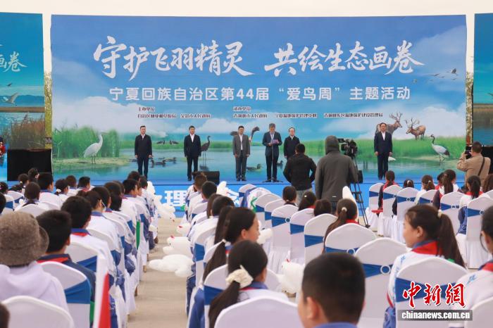 宁夏青铜峡库区湿地自然保护区鸟类增至215种 珍稀种群数量稳