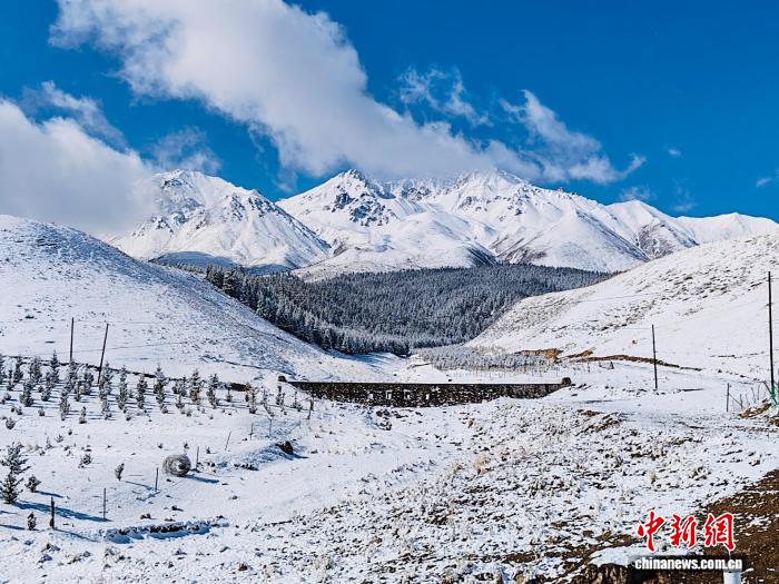 青海多地迎来2026年春季首场透雨