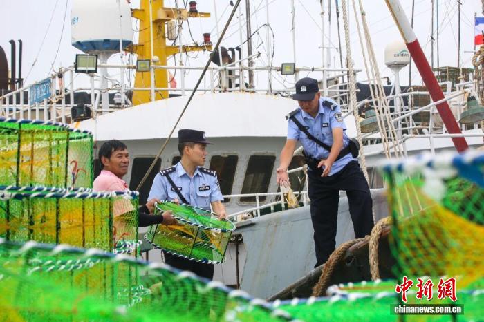 守护浙江“枫”景：绘就基层善治新“警”色