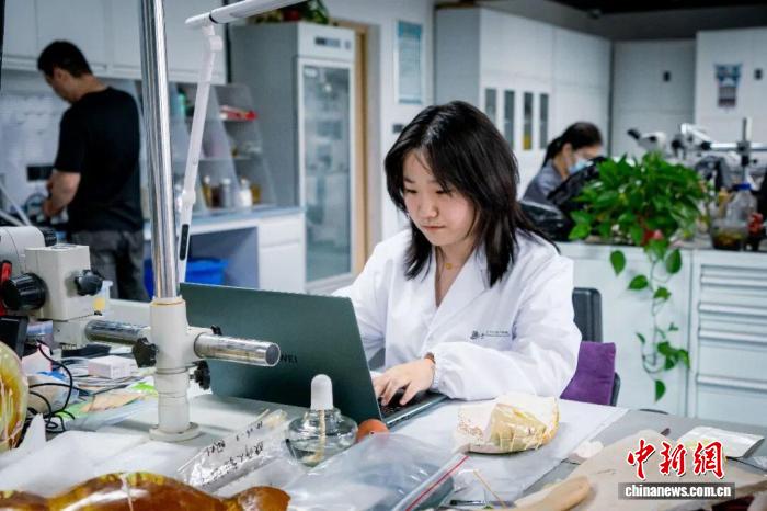 西大文保学子：以青春匠心，修复千年历史遗珍