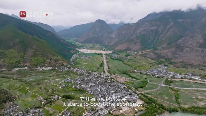 奔流万里入海 万物共生的守护初心与时代答卷