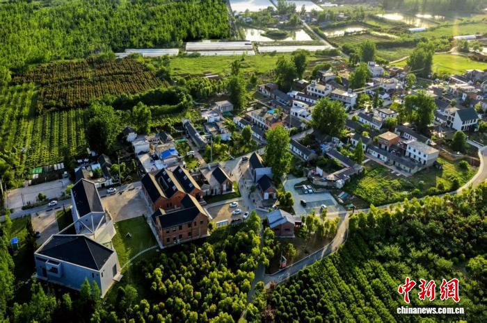 （走进中国乡村）艺术与科技融入田园 江淮乡野有了国际范儿