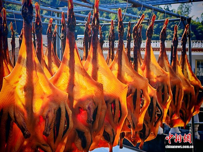 香飘全国的“致富鸭”：广西南乡