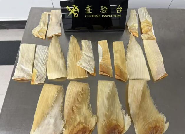 罗湖海关查获进境旅客携带濒危大