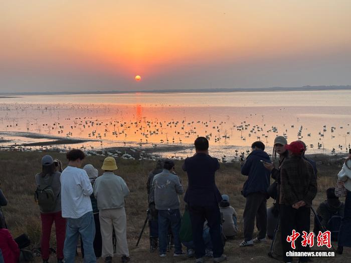 （走进中国乡村）“中国候鸟小镇”迎观鸟热潮