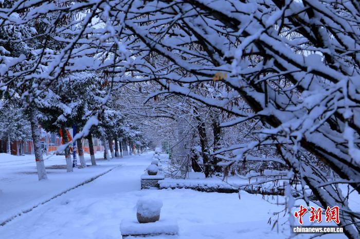 兴安林海：“谷雨”飞雪醉游人
