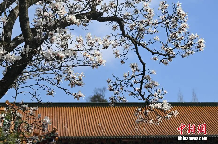 爱你“老己”，是年末最好的收尾