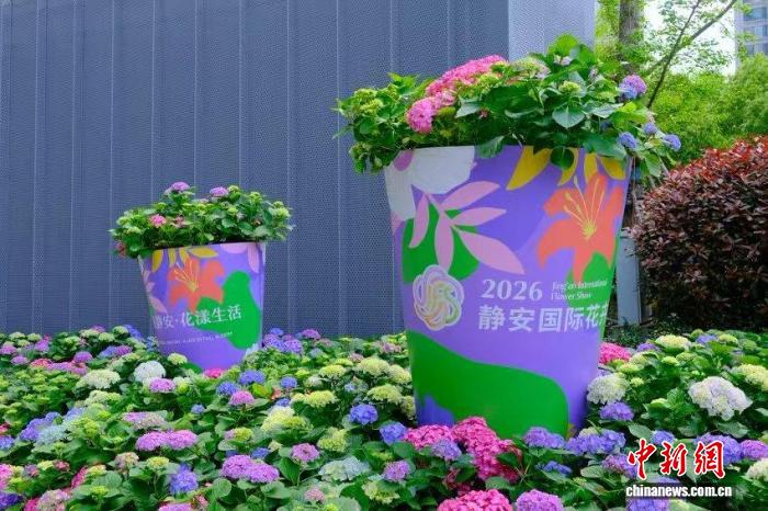 上海全城花开：植物园就在城市转角处 “情绪花园”调动视觉与嗅