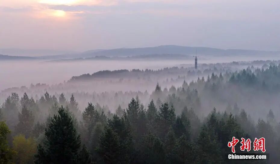 它出生时，地球还是个“宝宝”？