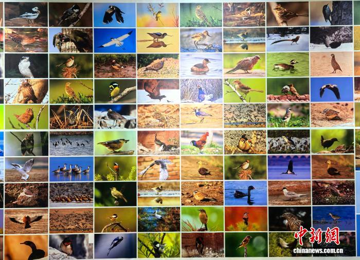 世界地球日 山西自然博物馆开启系列展览探寻地球血脉