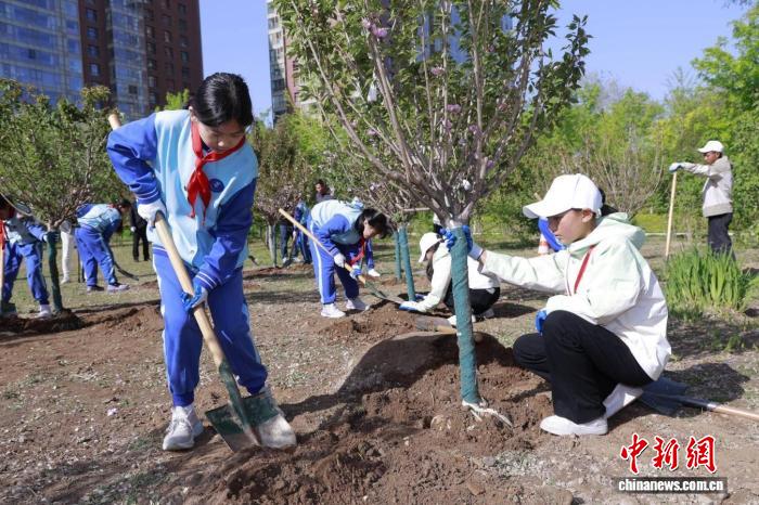 以树为媒、以情为桥 京藏少年“共植同心树”