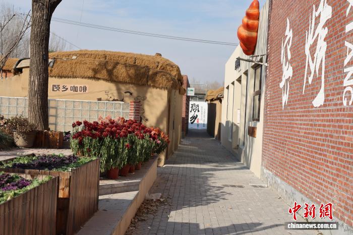 （年终观察）“村字号”活力奔涌 齐鲁乡村焕发新生机