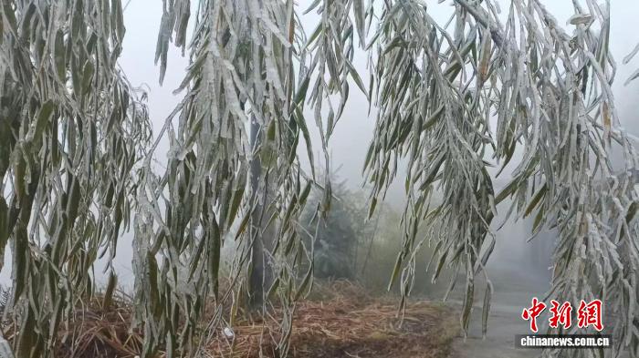 广东今晨经历本轮寒潮过程最冷阶段