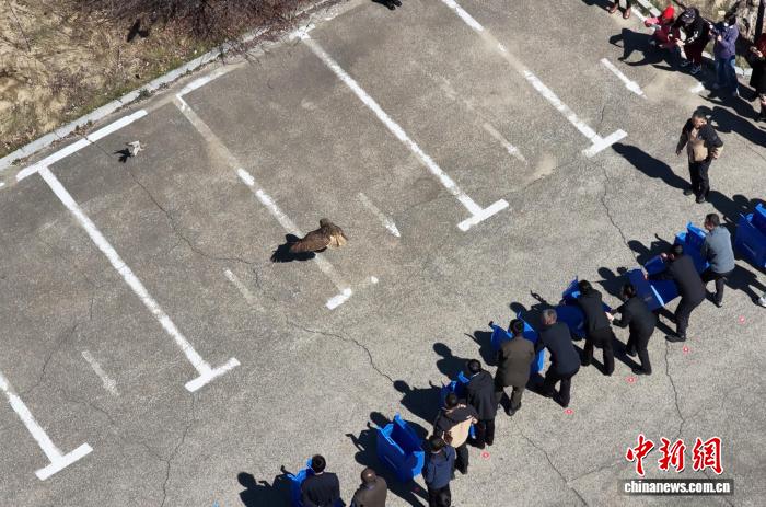 2025年吉林省候鸟停歇数量达65万只