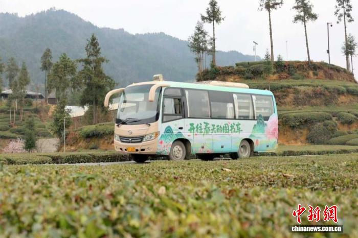 （乡村行·看振兴）湖北夷陵：茶